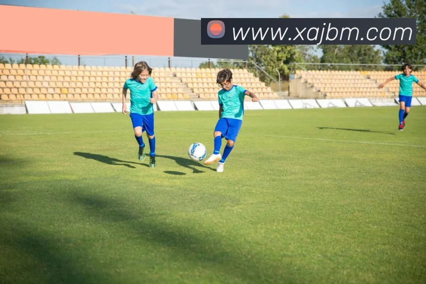 米兰体育网页登陆发展历程